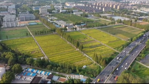 檔案見證小康路|農業科技 澆灌富民之“花”