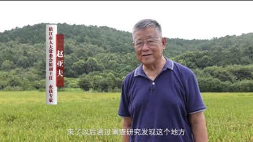 檔案見證小康路|趙亞夫眼中的小康路